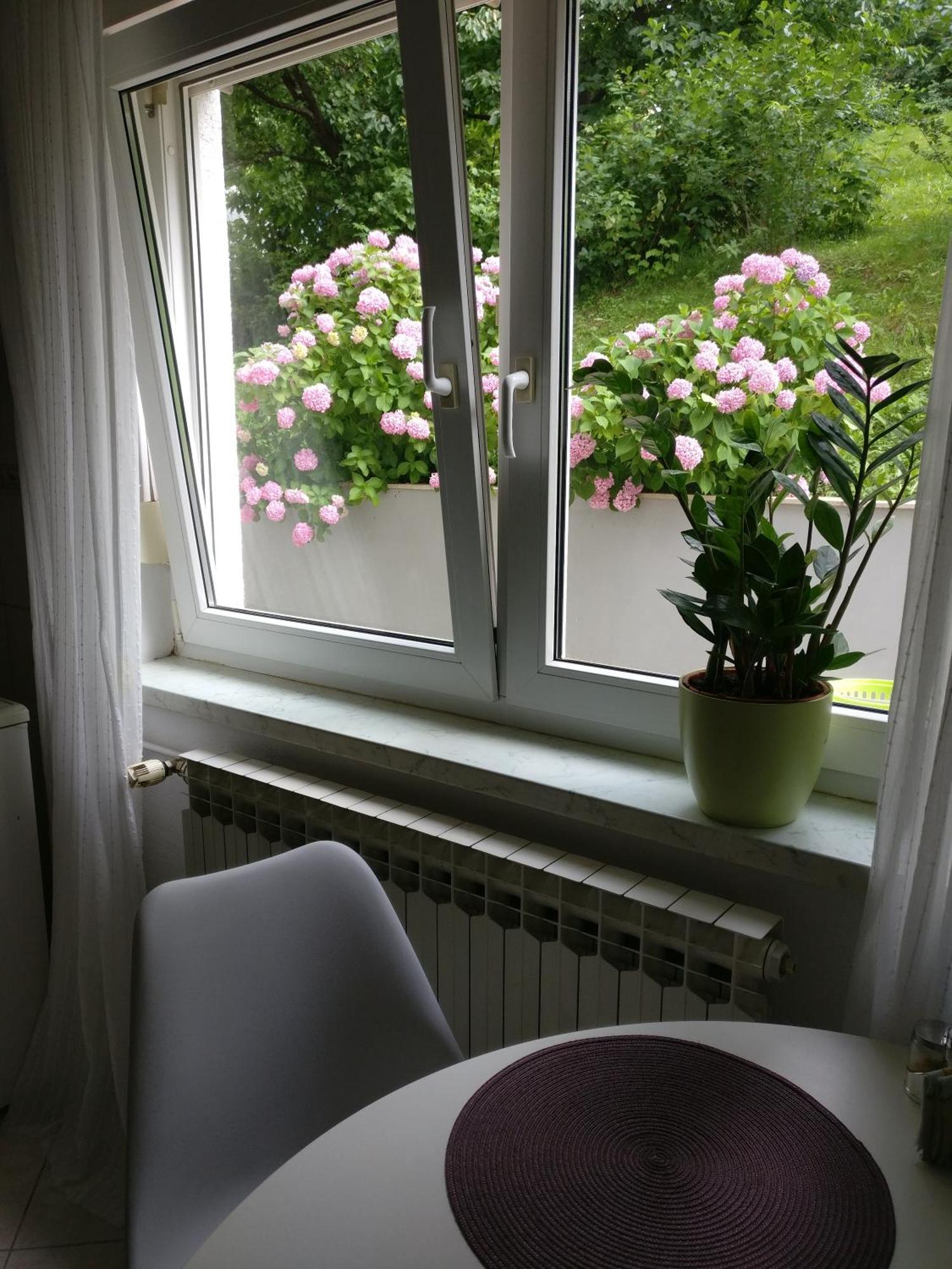 Apartman Malina Karlovac Exteriér fotografie
